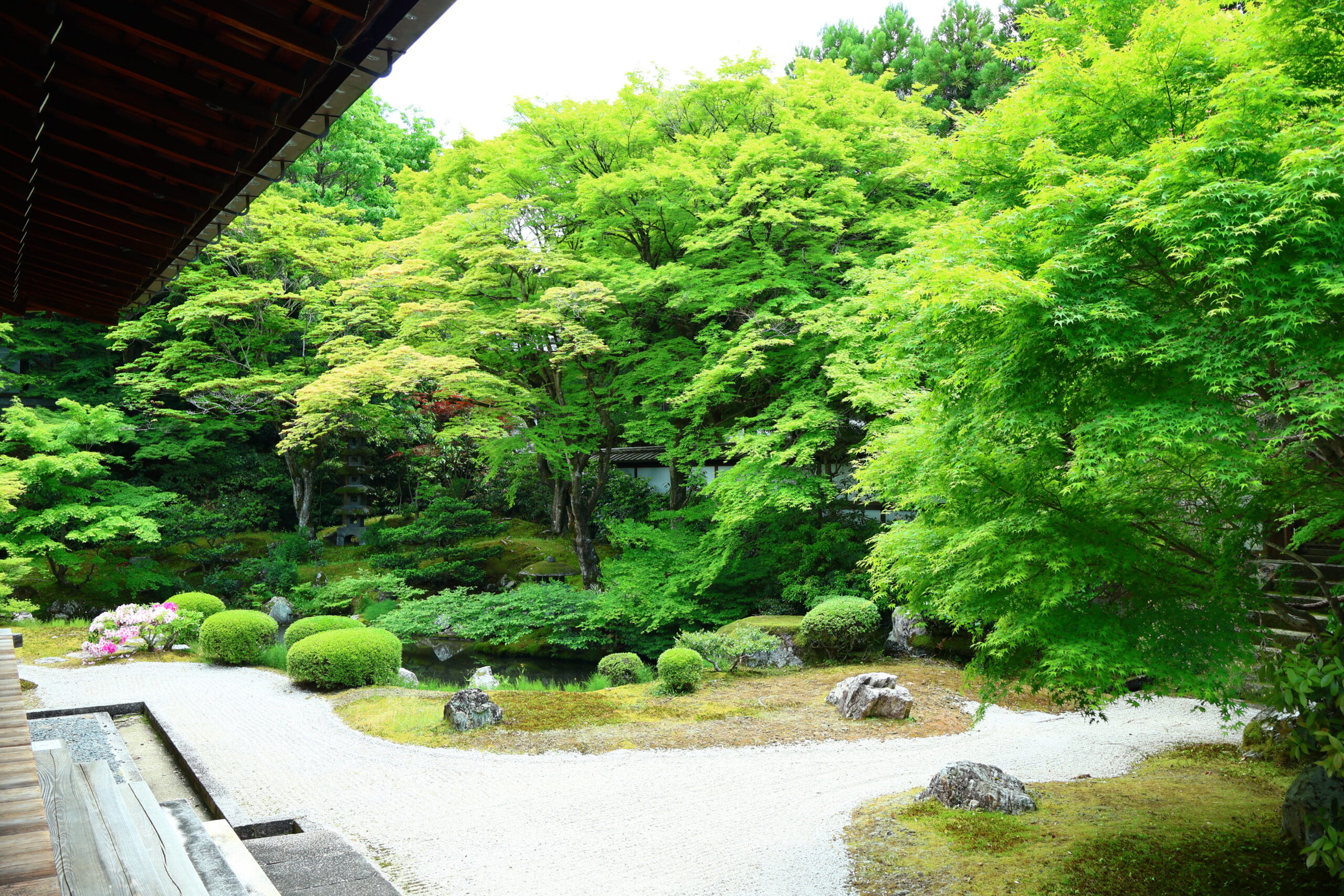 ４月９日（木）、１０日（金）　特別拝観中止に関するお知らせ